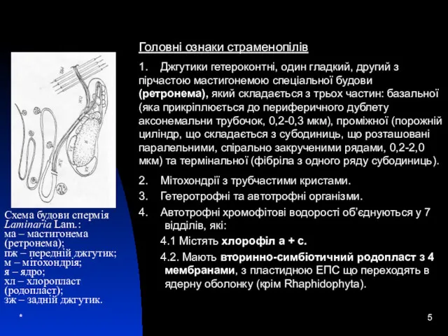 * 2. Мітохондрії з трубчастими кристами. 3. Гетеротрофні та автотрофні організми. 4. Автотрофні