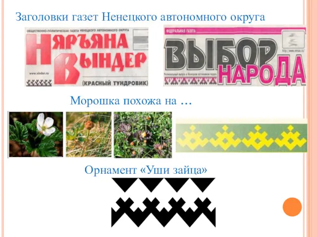 Заголовки газет Ненецкого автономного округа Морошка похожа на … Орнамент «Уши зайца»
