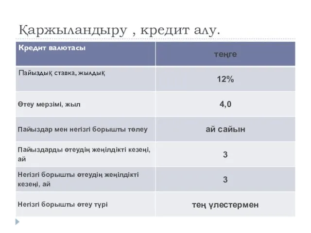 Қаржыландыру , кредит алу.