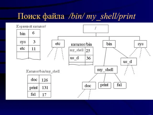 Поиск файла /bin/ my_shell/print