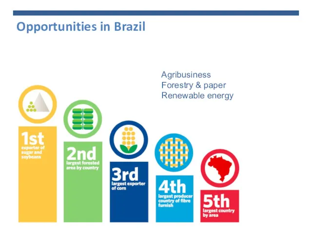 Opportunities in Brazil Agribusiness Forestry & paper Renewable energy