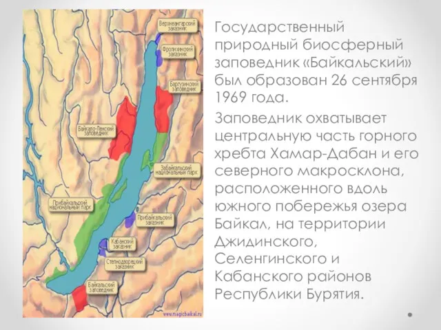 Государственный природный биосферный заповедник «Байкальский» был образован 26 сентября 1969