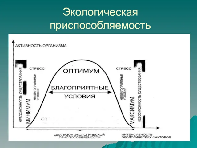 Экологическая приспособляемость