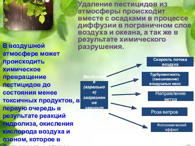 В воздушной атмосфере может происходить химическое превращение пестицидов до состояния