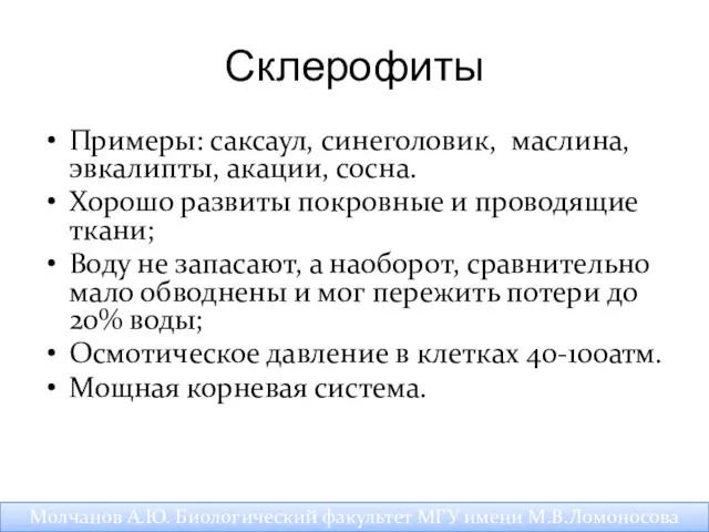 Склерофиты Примеры: саксаул, синеголовик, маслина, эвкалипты, акации, сосна. Хорошо развиты покровные и проводящие