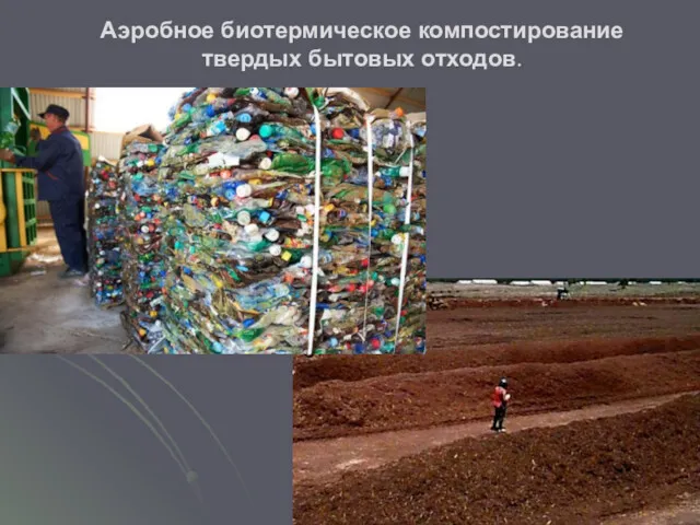 Аэробное биотермическое компостирование твердых бытовых отходов.