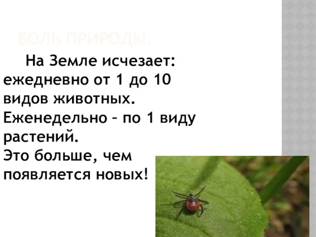 БОЛЬ ПРИРОДЫ. На Земле исчезает: ежедневно от 1 до 10