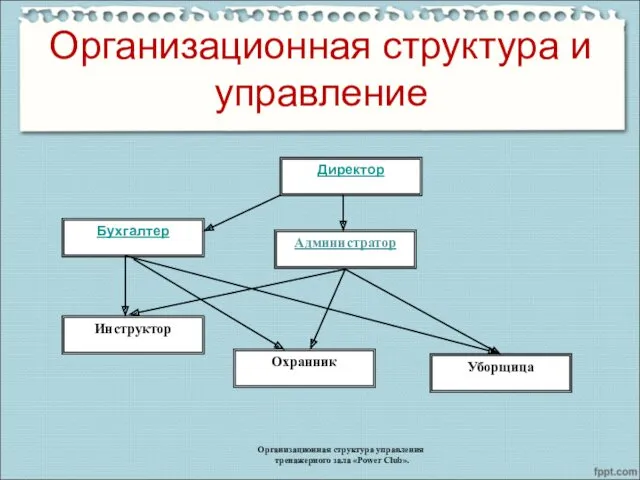 Организационная структура и управление