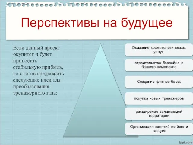 Перспективы на будущее Если данный проект окупится и будет приносить