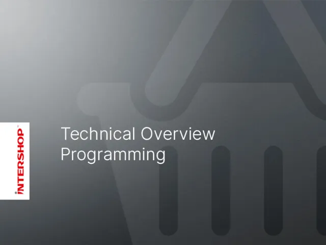Technical Overview Programming