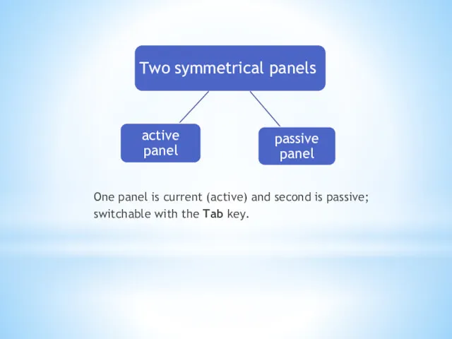 One panel is current (active) and second is passive; switchable with the Tab key.