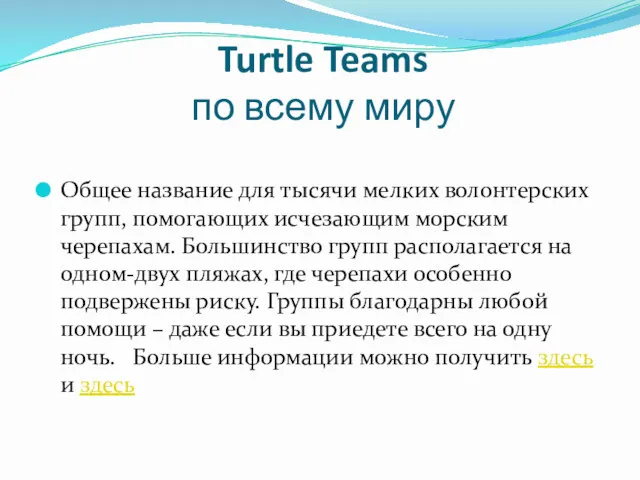 Turtle Teams по всему миру Общее название для тысячи мелких