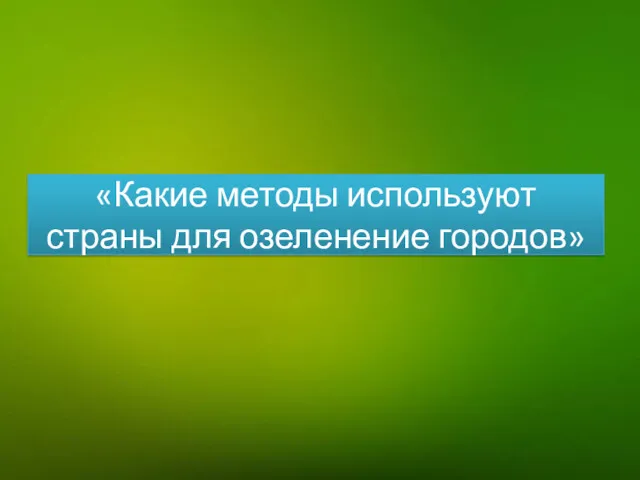 «Какие методы используют страны для озеленение городов»