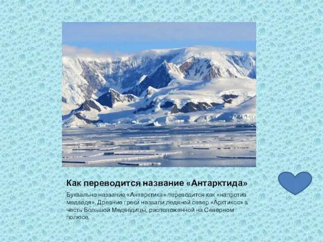 Как переводится название «Антарктида» Буквально название «Антарктика» переводится как «напротив