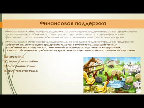 Финансовая поддержка НМФО «Липецкий областной фонд поддержки малого и среднего