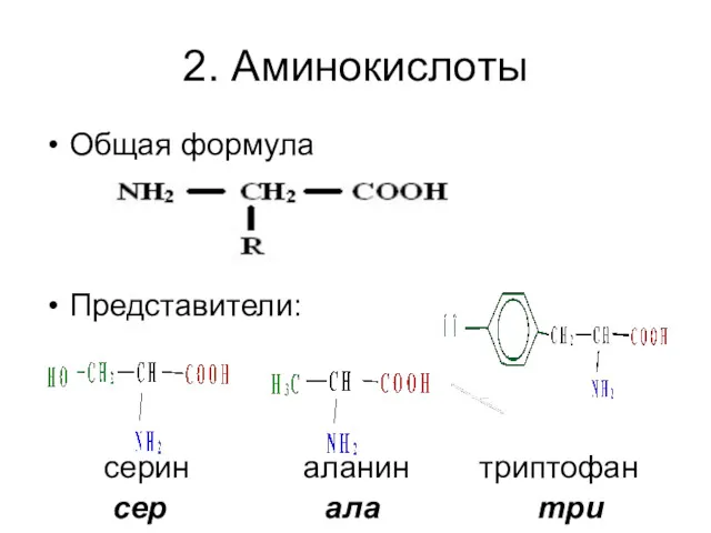 2. Аминокислоты Общая формула Представители: серин аланин триптофан сер ала три