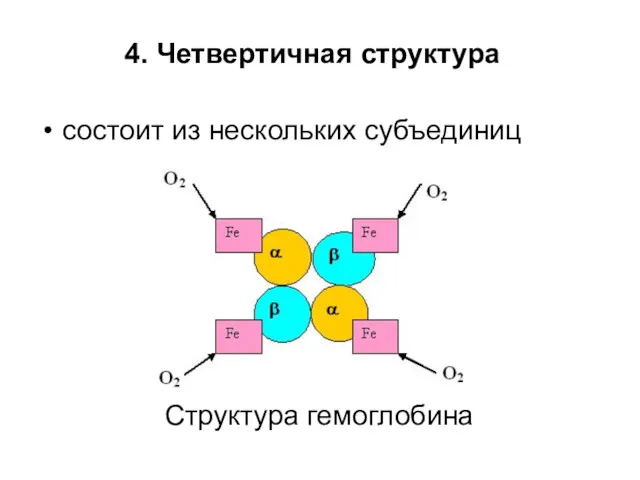 состоит из нескольких субъединиц Структура гемоглобина 4. Четвертичная структура