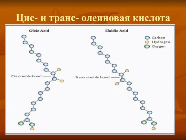 Цис- и транс- олеиновая кислота