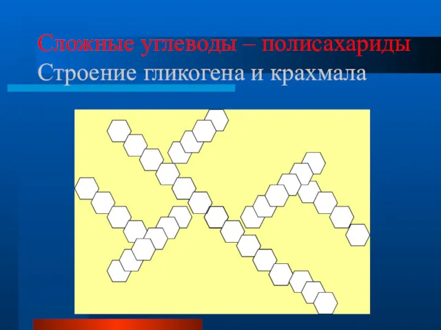 Сложные углеводы – полисахариды Строение гликогена и крахмала