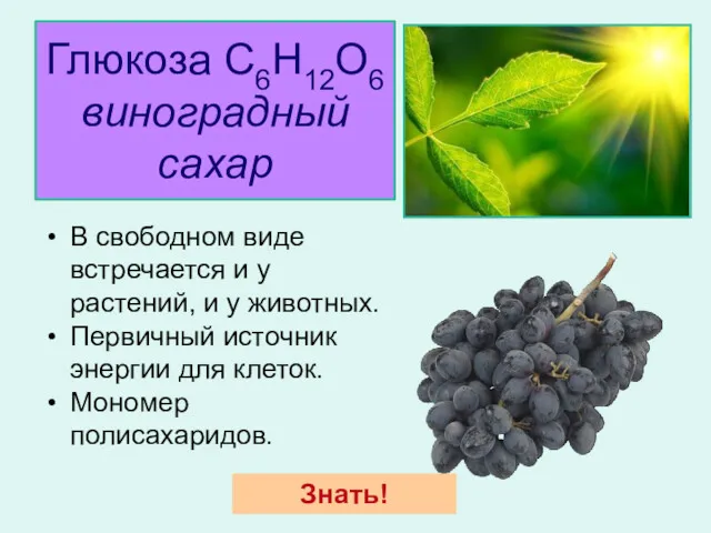 Глюкоза С6H12О6 виноградный сахар В свободном виде встречается и у