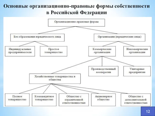 Основные организационно-правовые формы собственности в Российской Федерации 12