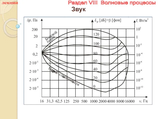 лекции Раздел VIII Волновые процессы Звук