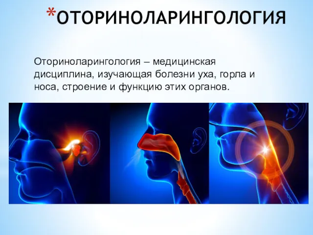 Оториноларингология – медицинская дисциплина, изучающая болезни уха, горла и носа, строение и функцию этих органов. ОТОРИНОЛАРИНГОЛОГИЯ