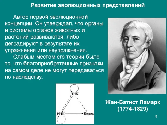 Развитие эволюционных представлений Жан-Батист Ламарк (1774-1829) Автор первой эволюционной концепции.