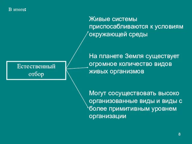 Естественный отбор В итоге: Живые системы приспосабливаются к условиям окружающей