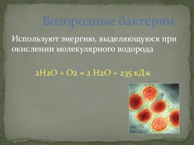 Используют энергию, выделяющуюся при окислении молекулярного водорода 2H2O + O2