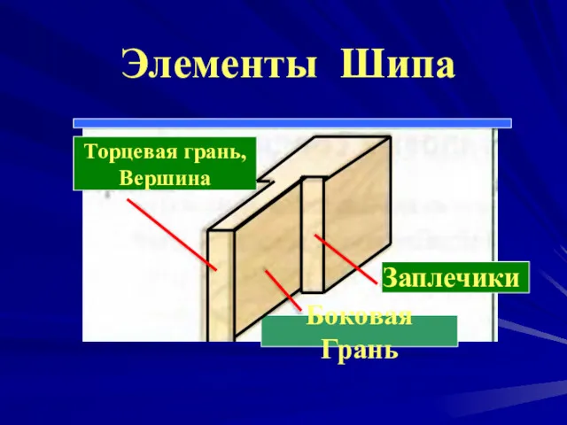 Элементы Шипа Заплечики Боковая Грань Торцевая грань, Вершина