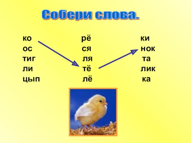 Собери слова. ко рё ки ос ся нок тиг ля