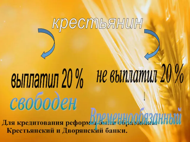 Для кредитования реформы были образованы Крестьянский и Дворянский банки. крестьянин