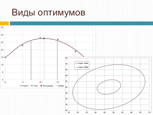 Виды оптимумов