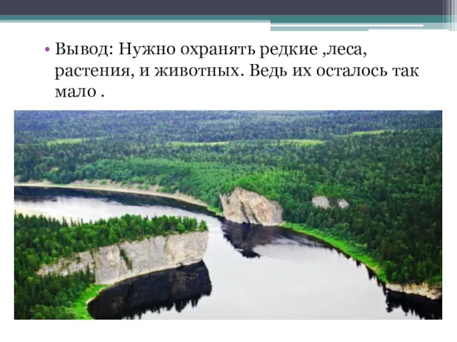 Вывод: Нужно охранять редкие ,леса, растения, и животных. Ведь их осталось так мало .