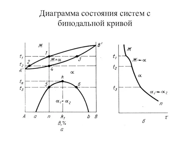 Диаграмма состояния систем с бинодальной кривой