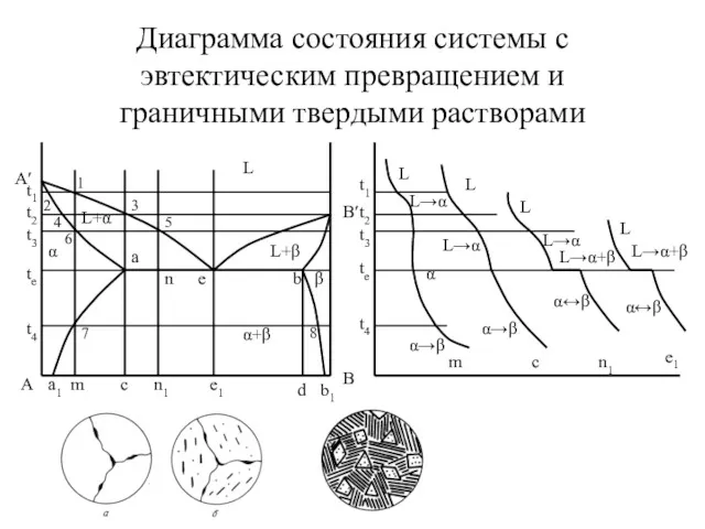 Диаграмма состояния системы с эвтектическим превращением и граничными твердыми растворами