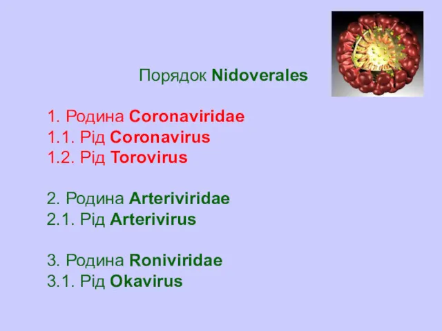 Порядок Nidoverales 1. Родина Coronaviridae 1.1. Рід Coronavirus 1.2. Рід