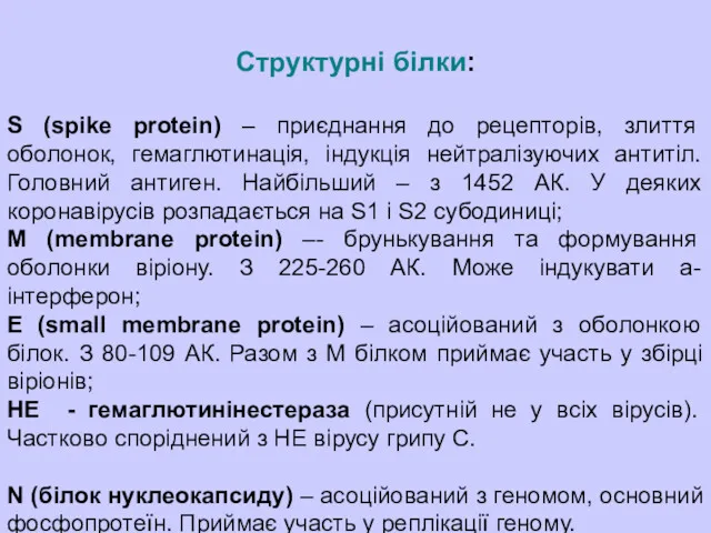 Структурні білки: S (spike protein) – приєднання до рецепторів, злиття