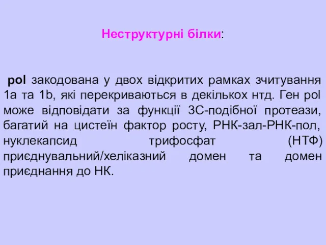 Неструктурні білки: pol закодована у двох відкритих рамках зчитування 1a