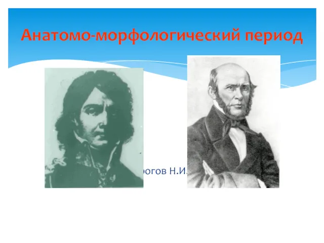 Ларрей Пирогов Н.И. Анатомо-морфологический период