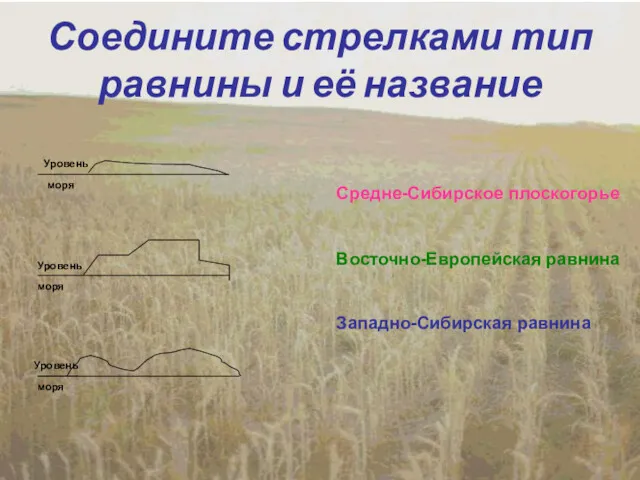 Соедините стрелками тип равнины и её название Восточно-Европейская равнина Западно-Сибирская