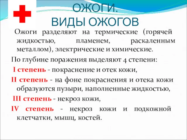 ОЖОГИ. ВИДЫ ОЖОГОВ Ожоги разделяют на термические (горячей жидкостью, пламенем,