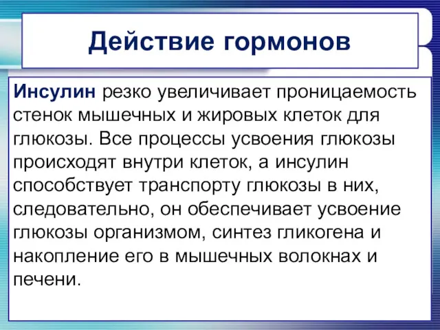 Действие гормонов Инсулин резко увеличивает проницаемость стенок мышечных и жировых