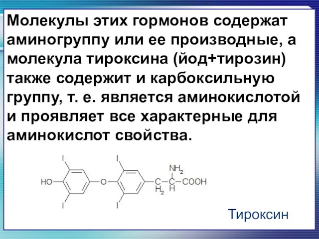 Молекулы этих гормонов содержат аминогруппу или ее производные, а молекула