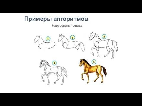Примеры алгоритмов Нарисовать лошадь
