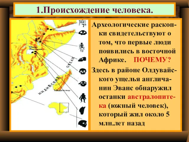 1.Происхождение человека. Археологические раскоп-ки свидетельствуют о том, что первые люди