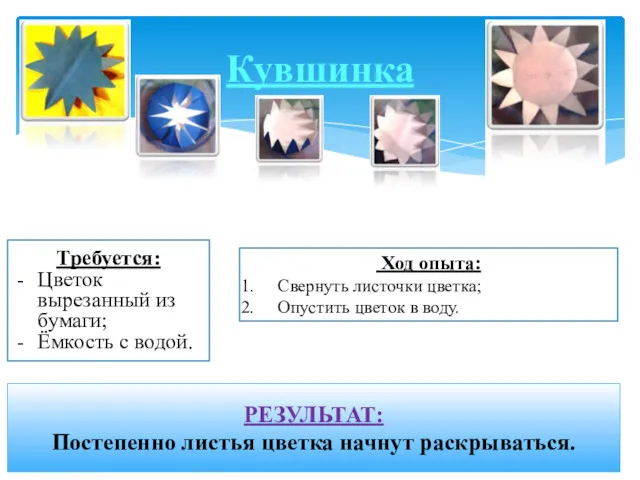 Кувшинка Требуется: Цветок вырезанный из бумаги; Ёмкость с водой. Ход