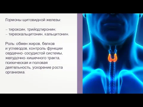 Гормоны щитовидной железы: – тироксин, трийодтиронин; – тиреокальцитонин, кальцитонин. Роль: