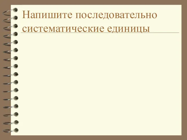 Напишите последовательно систематические единицы